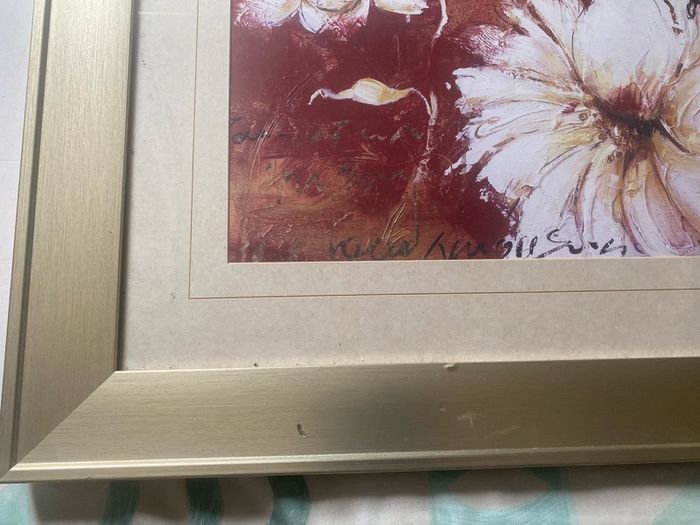 pictutre framed and glazed print botanical