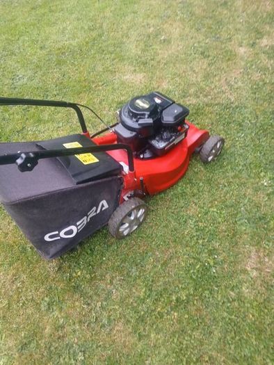 Cobra Push Lawnmower