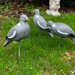 decoys