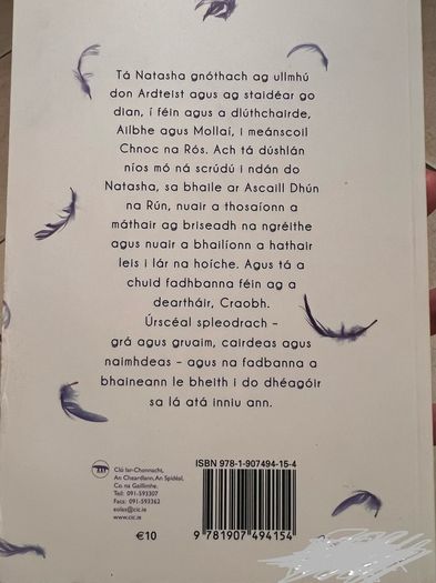 Dordan, Irish novel
