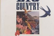 Big Country 7" Vintage Cut Vinyl Record "First Pressing" 1988 Hard To Acquire Rare !