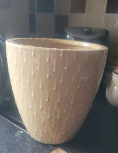 Large Ceramic Plant Pot