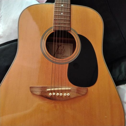 Semi-acoustic Guitar Jade W4-984