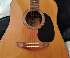 Semi-acoustic Guitar Jade W4-984