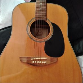 Semi-acoustic Guitar Jade W4-984