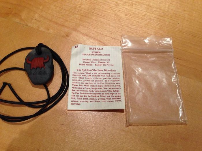 Coyote Totem Energy Stones Necklace.