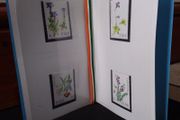 Ireland Mint Stamps : 1978 Special Presentation Pack - Irish Flowers - MNH