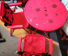 Kids Ladybird Picnic Table and Chair Set