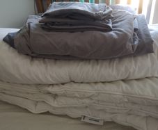 Bedding