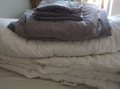 Bedding