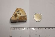 Flint nodule
