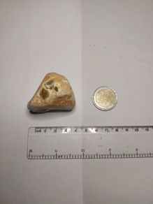 Flint nodule