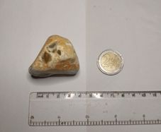 Flint nodule