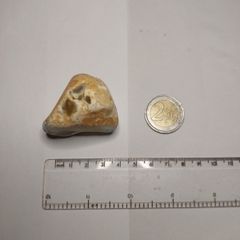 Flint nodule