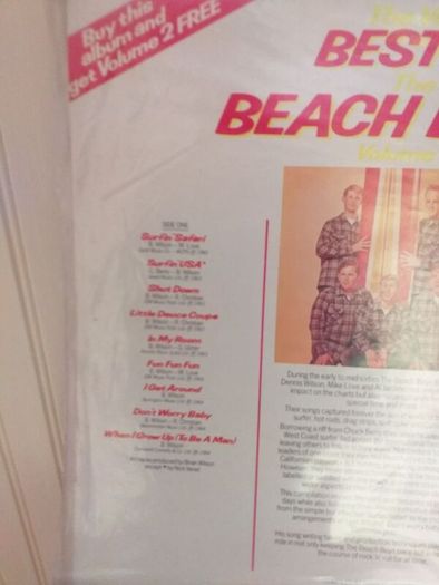 The Beach Boys.