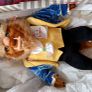 DISNEY BEAST by Steiff From Beauty & The Beast Image 2