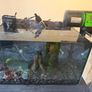 Fish Tank Complete Setup 27L Aquarel Aquarium Image 6