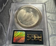 Graded MS64 Silver Peace Dollar coin PCGS