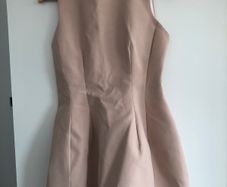Zara tulip dress