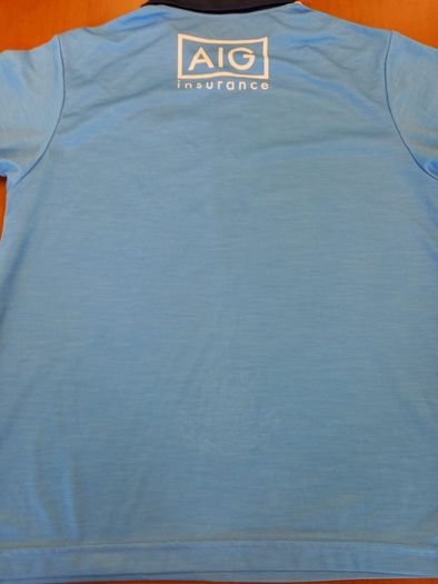 Dublin GAA 2019 O'Neill's Home Jersey Adult Large