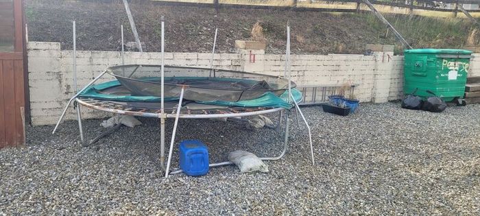 trampoline