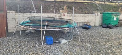 trampoline
