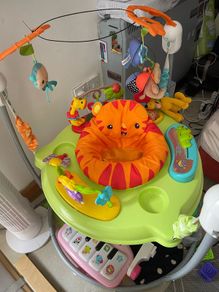 Baby Bouncer
