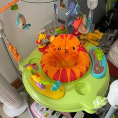 Baby Bouncer