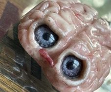 Supporting Mental Health Weird Oddity Polymer Clay Display Gore Brain Decor