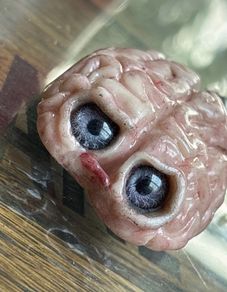 Supporting Mental Health Weird Oddity Polymer Clay Display Gore Brain Decor
