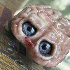 Supporting Mental Health Weird Oddity Polymer Clay Display Gore Brain Decor