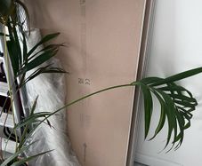6 free Gyproc boards