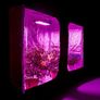 LED Grow Light Bloom Veg Full spectrum 900W Image 10