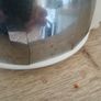 Vintage/Antique Coffee Pot, damage Image 5