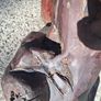 Teak Tree Root Table And Matching Chair Image 7