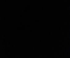 Fakro Keylight Vertical Bi- Lite window