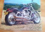 harley davidson