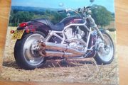 harley davidson