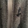 Fabulous warm coatigan. Size 14-18 Image 3