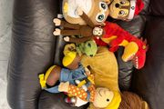 teddys