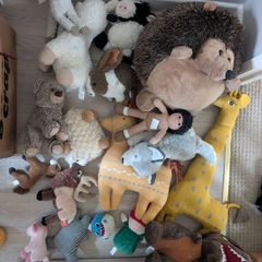 box of teddies