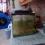 Fish tank Image 2