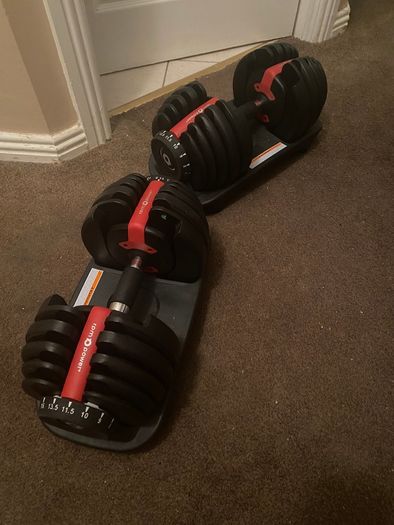 Adjustable Dumbbells + Bench