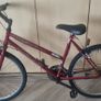 Raleigh Ladies Mountain Bike Image 2