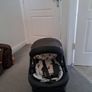 car seat Image 2