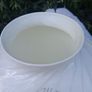 Emilio Robbo Large Porcelain Designer Vase Image 4