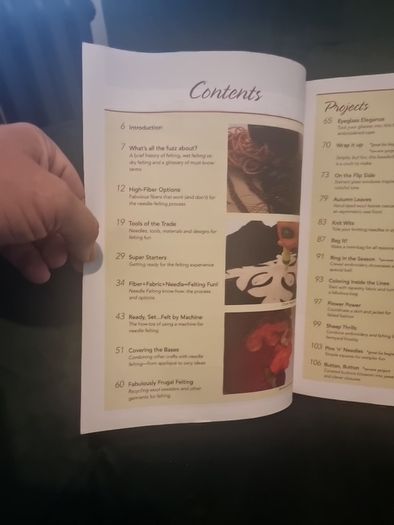 Needle Felting by Hand or Machine: 20 Projects Using Easy-to-Learn Techniques (Paperback)