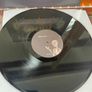 Adam Franklin (Swervedriver) - Spent Bullets (Limited 1/500) Image 5