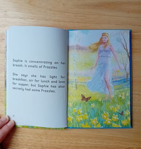 Mindfulness- Ladybird For Grown Ups Book