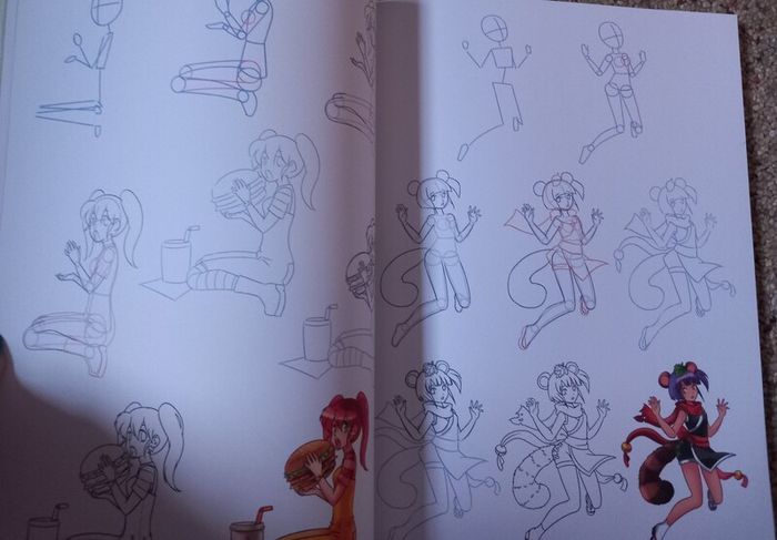 Manga & Anime drawing books